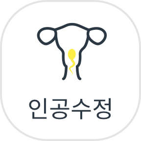인공수정